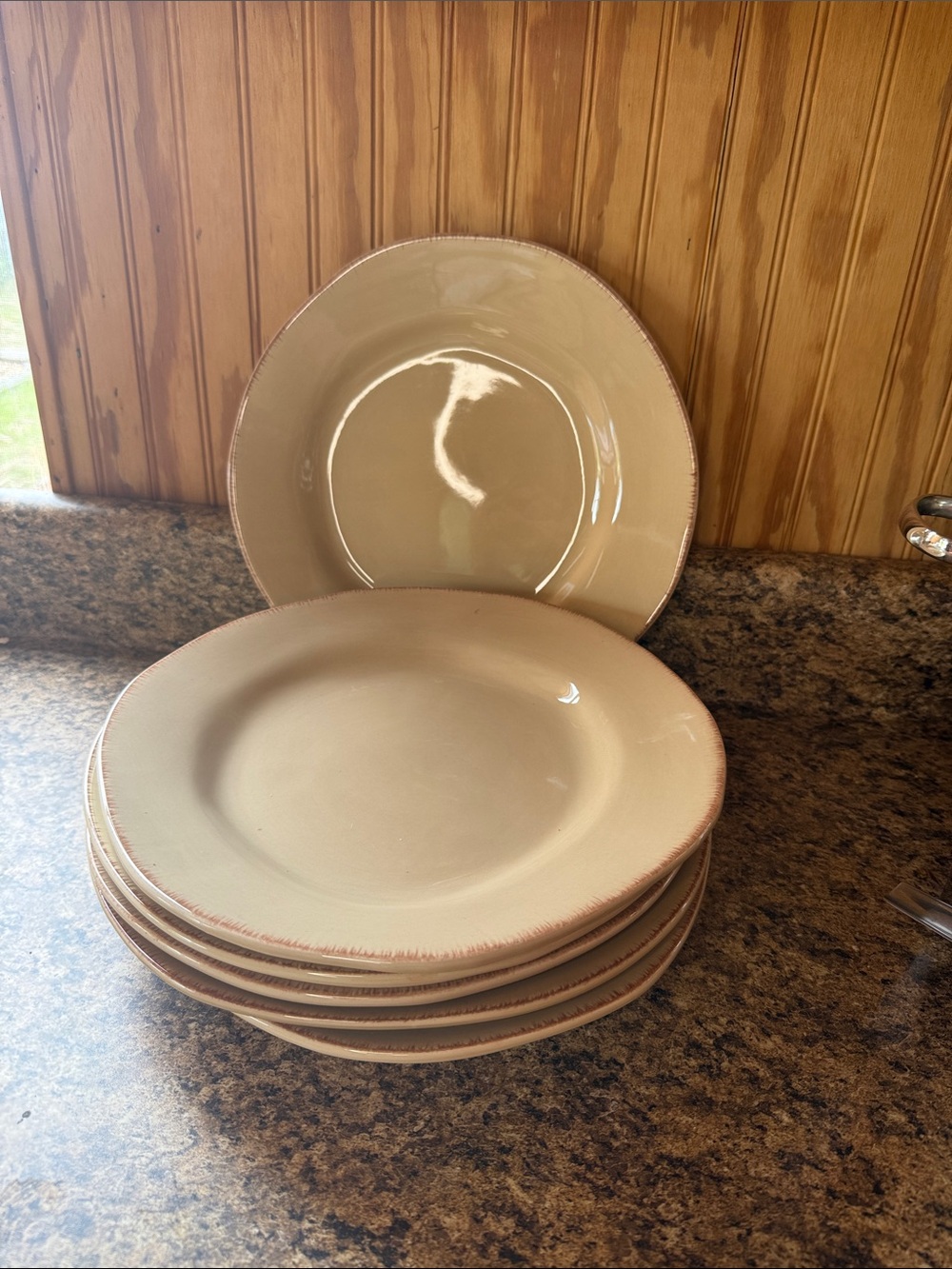 Pier 1 Cream Dinner Plates with Distressed Brown Edge - Set of 6